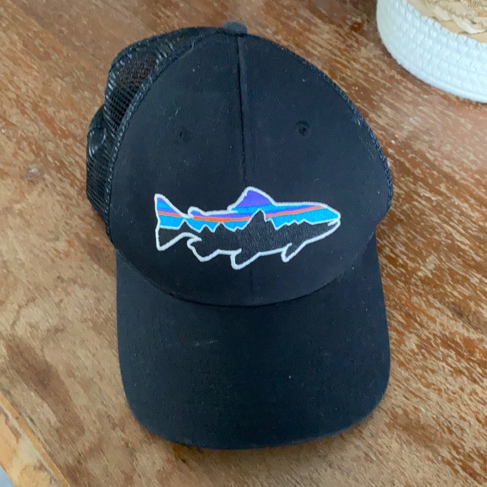 Patagonia trucker hat